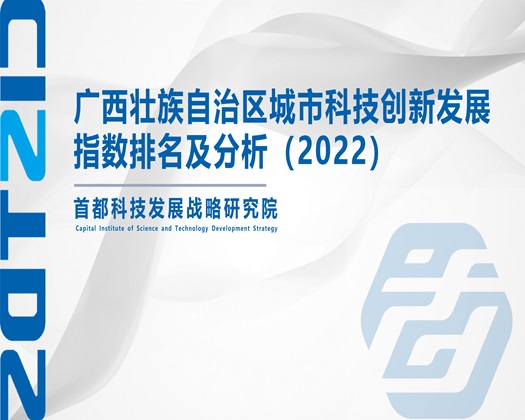 啊啊啊操逼逼【成果发布】广西壮族自治区城市科技创新发展指数排名及分析（2022）